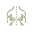 shiatsu logo